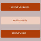 Bacillus B3 Probiótico de Esporas + Enzimas, 60 Cápsulas