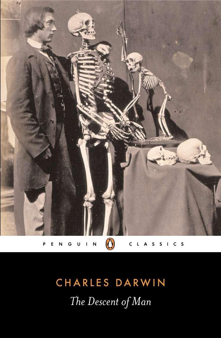 The Descent of Man (Penguin Classics)