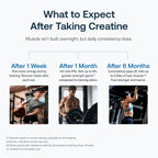 Transparent Labs Creatine HMB - Creatina Monohidrato con HMB, Fresa Limón (30 dosis)