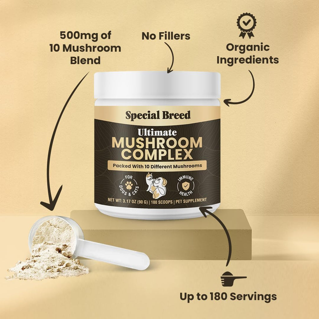 Mushroom Powder for Dogs & Cats - Organic Mushroom Complex for Immune Support, Cognition, Vitality - Ten Mushroom Supplement with Turkey Tail, Lion's Mane, Reishi - 180 Scoops