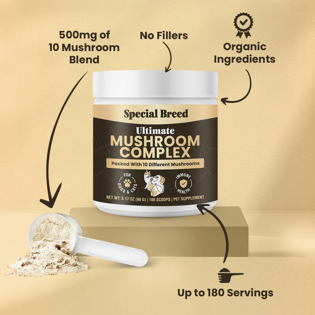 Mushroom Powder for Dogs & Cats - Organic Mushroom Complex for Immune Support, Cognition, Vitality - Ten Mushroom Supplement with Turkey Tail, Lion's Mane, Reishi - 180 Scoops