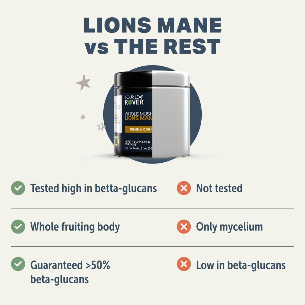Lion's Mane para Perros – Setas Orgánicas Enteras – Apoyo Cognitivo Natural – 60 Días (Suministro para Perros Grandes)