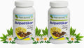Planet Ayurveda Avipattikar Churna - Pack de 2 Botes (100g cada uno)