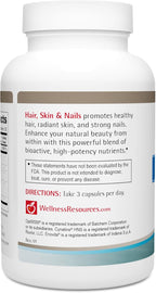 Wellness Resources Hair, Skin & Nails con Biotina, Queratina y MSM – 90 Cápsulas