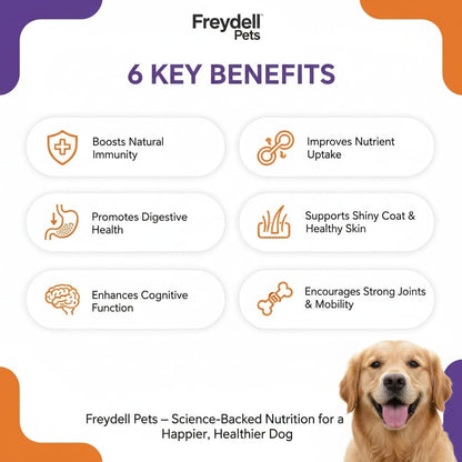 Freydell Pets 10-en-1 Multivitamínico para Perros con Glucosamina y Probióticos - 120 Chews – Image 5