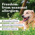 Origin Labs Complemento de Apoyo a las Alergias y el Sistema Inmunitario para Perros, Omega 3, Polen de Abeja, Calostro, Probióticos y Prebióticos, Sabor a Pavo, 90 Masticables Blandos