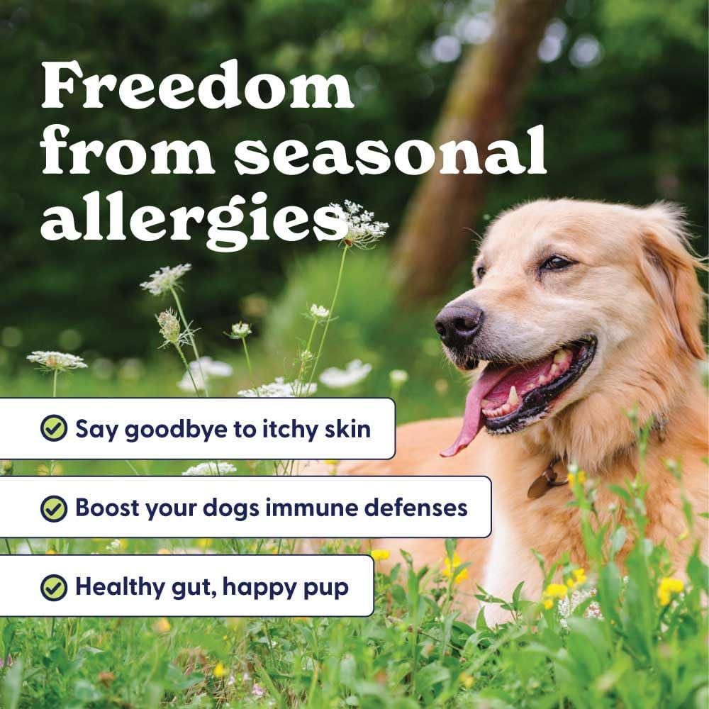 Origin Labs Complemento de Apoyo a las Alergias y el Sistema Inmunitario para Perros, Omega 3, Polen de Abeja, Calostro, Probióticos y Prebióticos, Sabor a Pavo, 90 Masticables Blandos