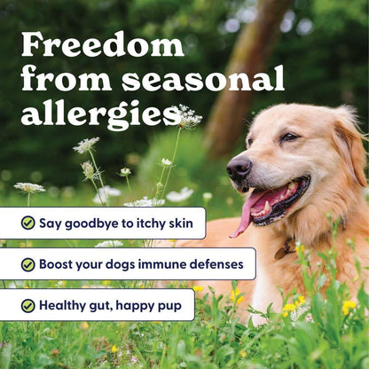 Origin Labs Complemento de Apoyo a las Alergias y el Sistema Inmunitario para Perros, Omega 3, Polen de Abeja, Calostro, Probióticos y Prebióticos, Sabor a Pavo, 90 Masticables Blandos