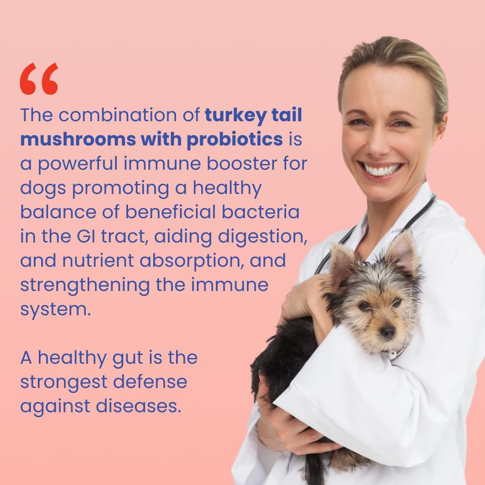 Fifth & Fido Turkey Tail+ para Perros - Suplemento de Hongo Cola de Pavo con Probióticos - 30 dosis