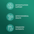 Dr. Mercola Brócoli Fermentado Orgánico - 30 Cápsulas