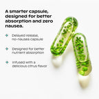 wholier Multi for Plant Based People - Multivitamínico vegano con Omega 3, B12, D3, Hierro, 60 cápsulas