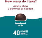 Nature Made Wellblends Stress Relief Gummies, L-teanina 200 mg y GABA 100 mg, 40 gomitas sabor fresa