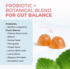 PrimeBiome Gummies – Gominolas Probióticas con Inulina, Lion's Mane y Jengibre – 30 Unidades (Suministro para 6 Meses) – No GMO, Sin Estimulantes, Certificado GMP