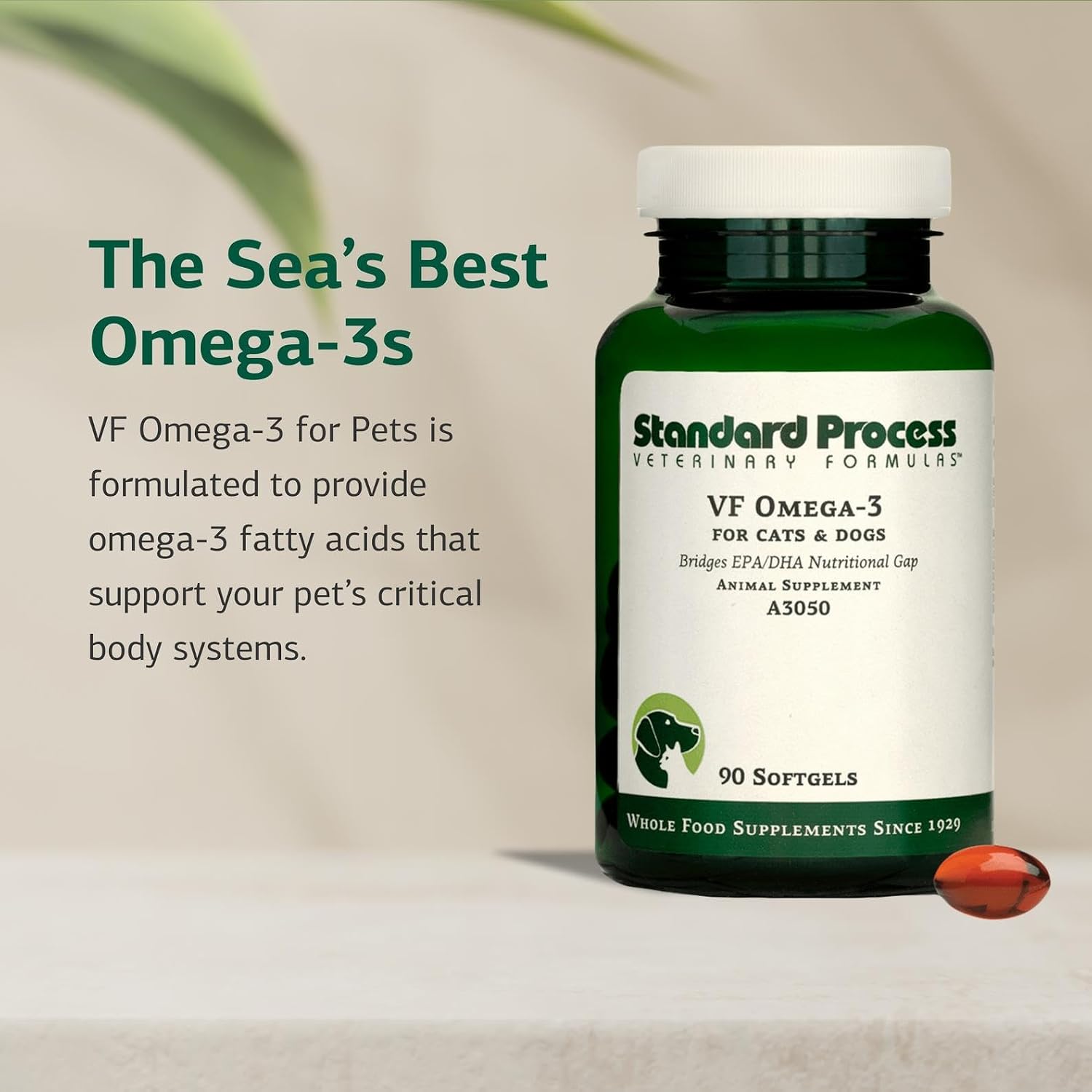 Standard Process Inc. VF Omega-3 para Mascotas - Suplemento de Ácidos Grasos Omega-3 - 90 Cápsulas Blandas