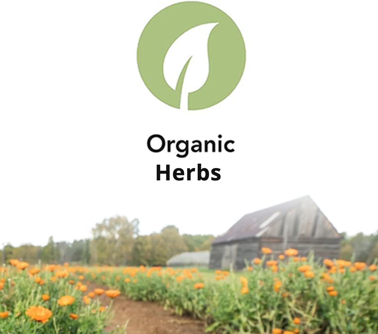 Deep Immune® de St. Francis Herb Farm – Suplemento Inmunológico, 90 Cápsulas