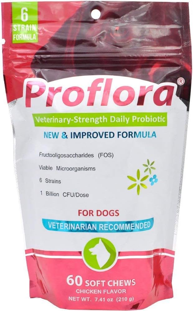 Proflora Probióticos para Perros - Apoyo Digestivo e Inmunitario, 60 Masticables Blandos