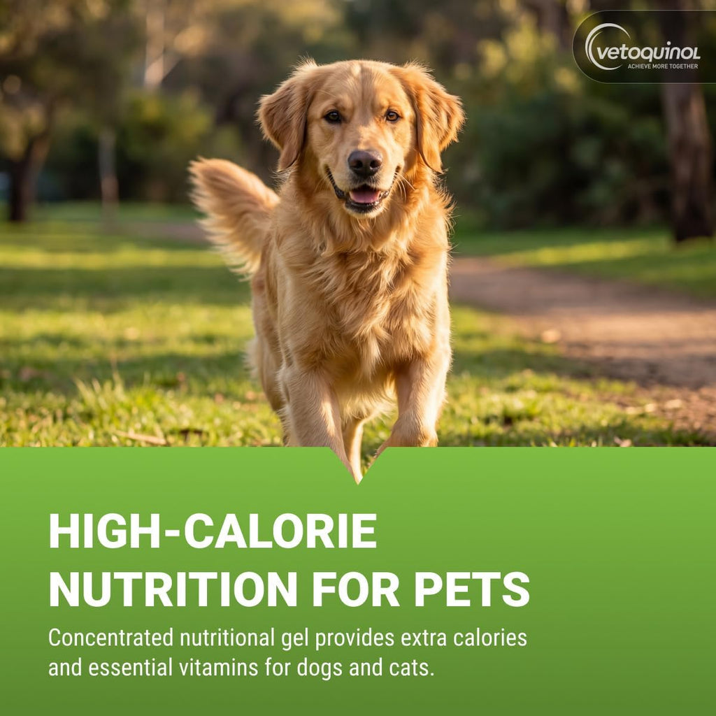 Vetoquinol Nutri-Cal - Gel Nutricional Hipercalórico para Perros y Gatos - 120 g (4.25 oz)