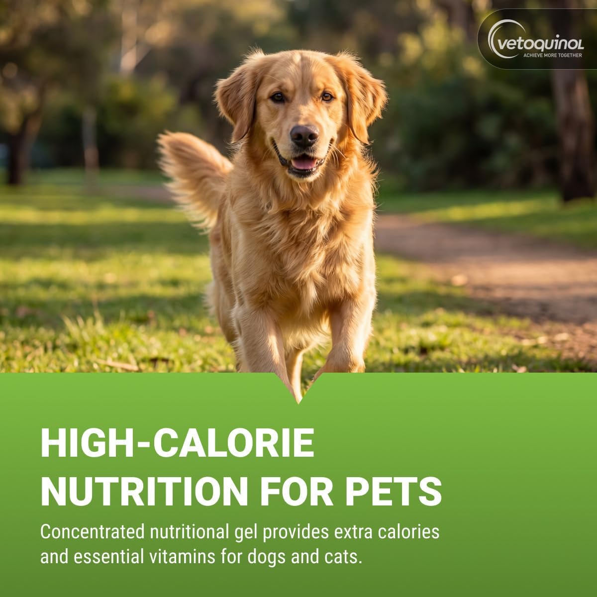 Vetoquinol Nutri-Cal - Gel Nutricional Hipercalórico para Perros y Gatos - 120 g (4.25 oz)