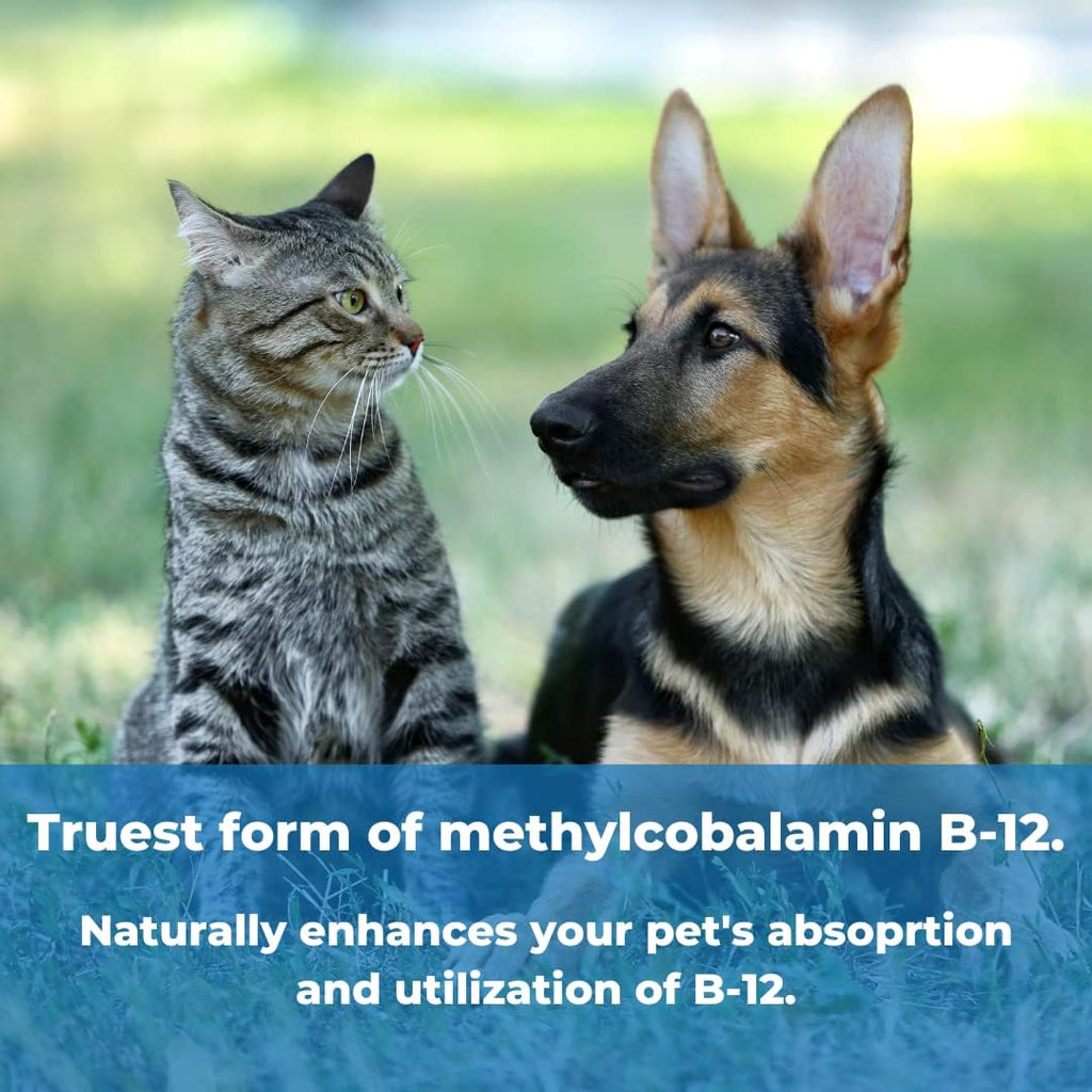 Pet Factor B-12 | Vitamina B-12 en Metilcobalamina para Perros | 180 Cápsulas