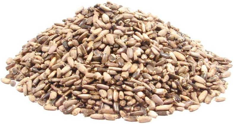 Milk Thistle Seed - Semillas de Cardo Mariano - Suplemento Herbal (113g)