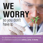 SOLARAY Andrographis 600 mg - 60 Cápsulas Vegetales - Apoyo Inmunitario