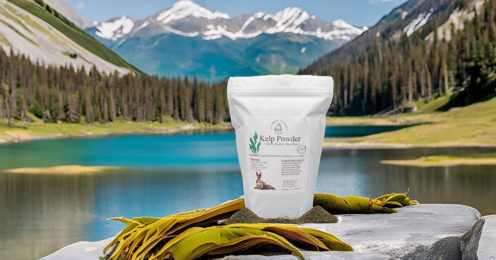 Natures Vitality Farms Polvo de Algas Marinas para Perros y Gatos (425 g)
