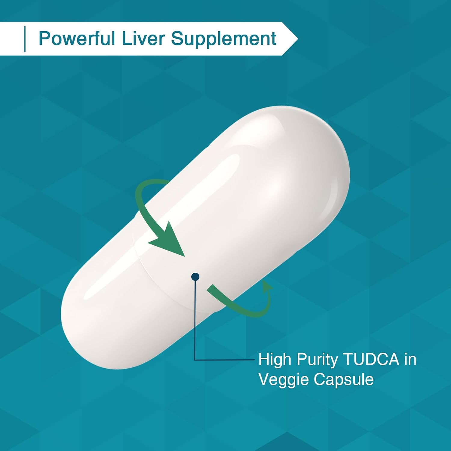 Zingicin TUDCA 1200mg - 60 Cápsulas Vegetales - Complemento Alimenticio de Sales Biliares
