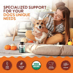 Ohana K9 Immunity – Suplemento para perros con 6 extractos de setas orgánicas USDA, 90 cápsulas
