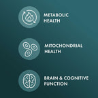 Dr. Mercola Niacinamida Vitamina B3 50 mg por Comprimido - Apoya la Salud Metabólica - Sin Enrojecimiento - Mini Comprimidos - No OGM, Sin Gluten y Sin Soja - 270 Comprimidos (Suministro para 90 Días)