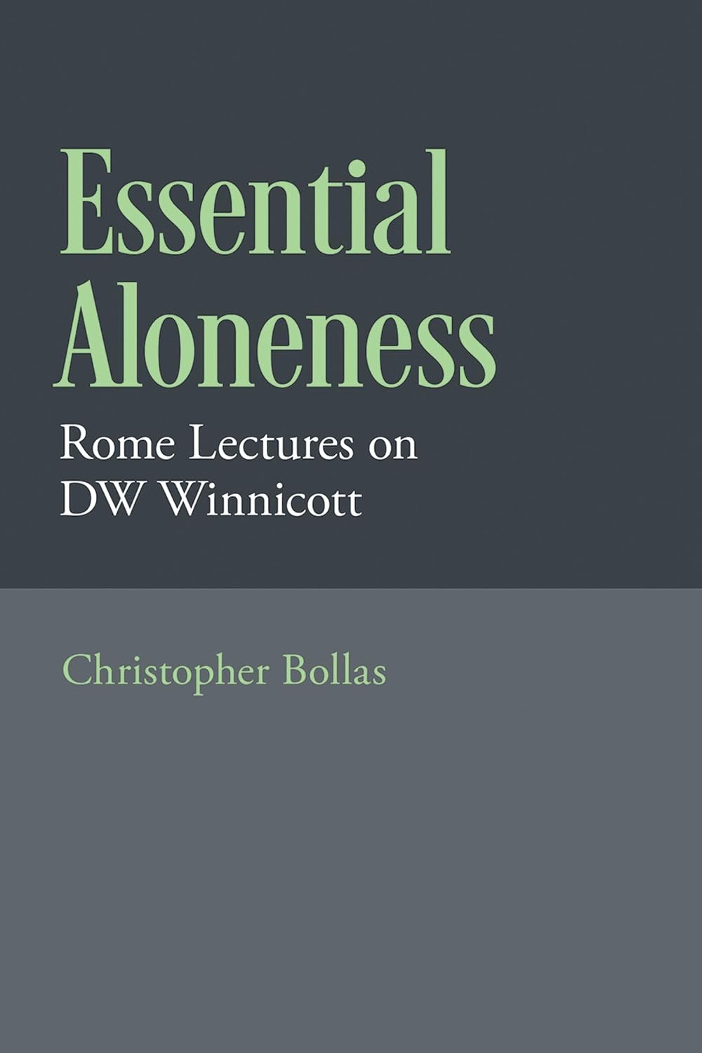La soledad esencial: Conferencias de Roma sobre DW Winnicott