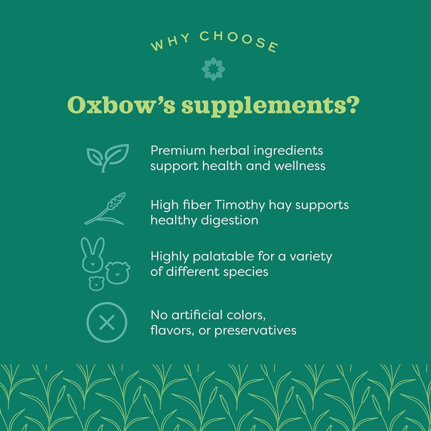 Oxbow Natural Science Suplemento de Vitamina C para Cobayas, Conejos y Chinchillas – Fórmula de Heno de Timothy, 4.2 oz (6 Paquetes)