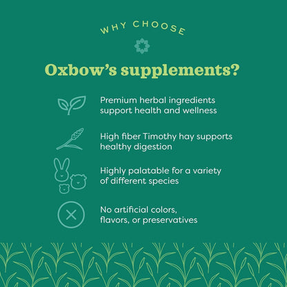 Oxbow Natural Science Suplemento de Vitamina C para Cobayas, Conejos y Chinchillas – Fórmula de Heno de Timothy, 4.2 oz (6 – Image 4