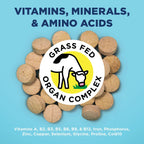 Vetericyn All-in 1 Suplemento Multifuncional para Perros Senior | Enzimas Digestivas + Glucosamina Condroitina para Articulaciones + Vitaminas, Antioxidantes, Prebióticos, Probióticos y Omega-3. 90 Comprimidos