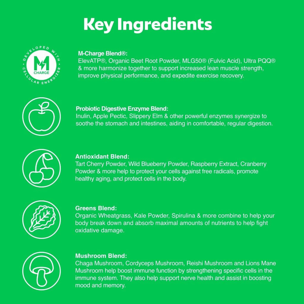 L'Evate You Vitality Daily Greens - Polvo Verde de Superalimentos (28 porciones)