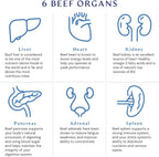 BodyHealth Organ+ Complejo de Órganos de Ternera - 150 Cápsulas