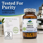 Cápsulas de Raíz de Maca Orgánica de Perú - 1000mg - Mezcla Cruda y Gelatinizada - 90 Cápsulas Veganas Kosher