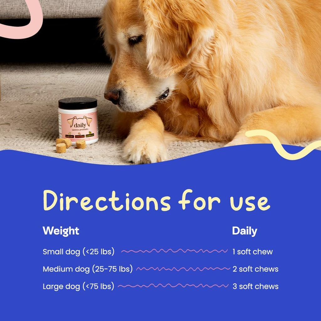 DLY Pets Probióticos para Perros - Salud Digestiva, Diarrea Ocasional - Sabor Pavo - 30 Masticables