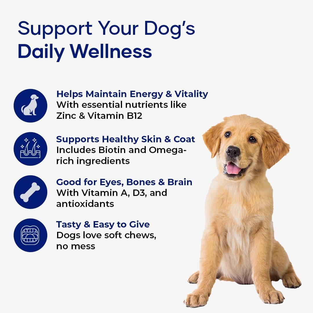 Aniwell Multivitamínico para Perros – Apoyo Inmunológico y Articular, Golosinas Blandas para Todas las Razas