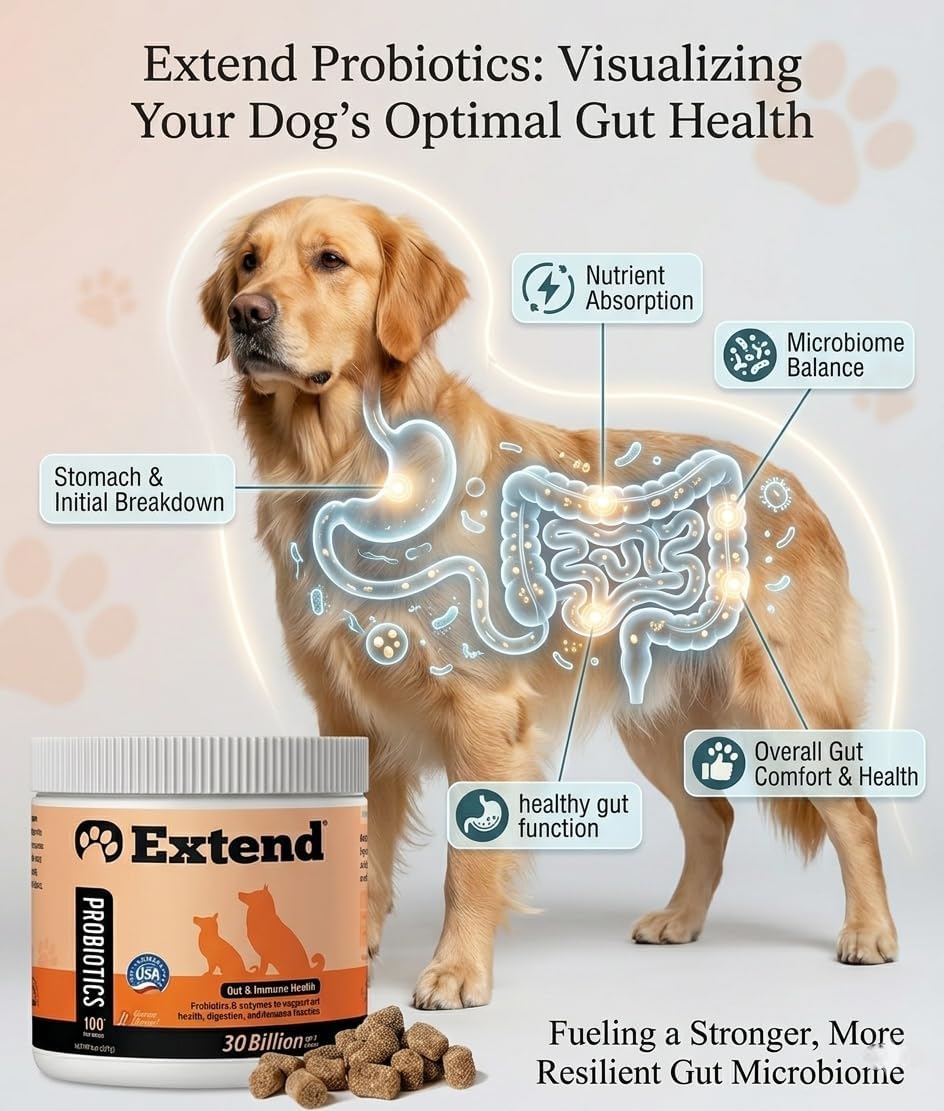 Extend® Probióticos para Perros – 100 Masticables Blandos con 15 Mil Millones UFC