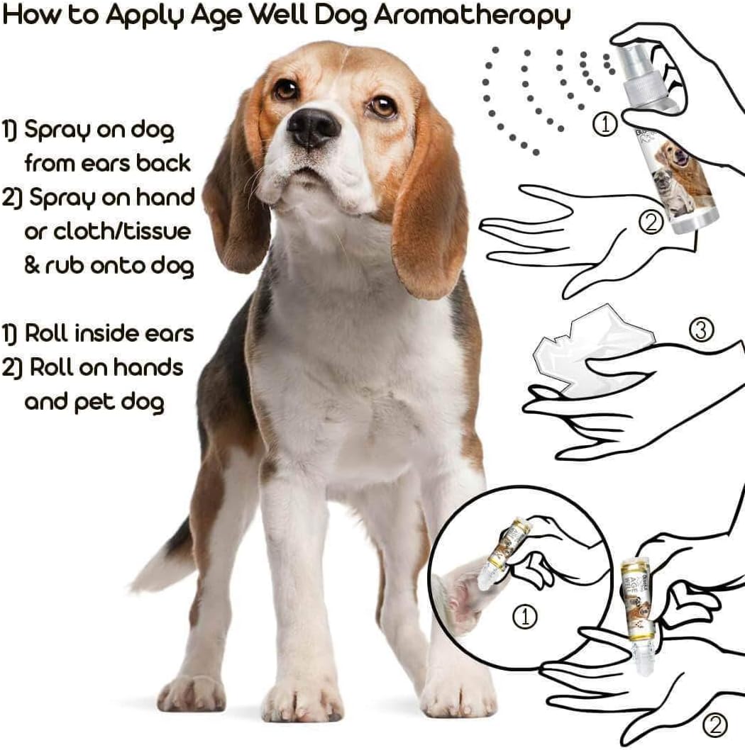 The Blissful Dog Beagle Edad Bien Spray de aromaterapia