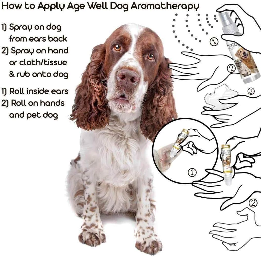 The Blissful Dog Springer Spaniel Age Well Spray Aromatherapy – Image 4