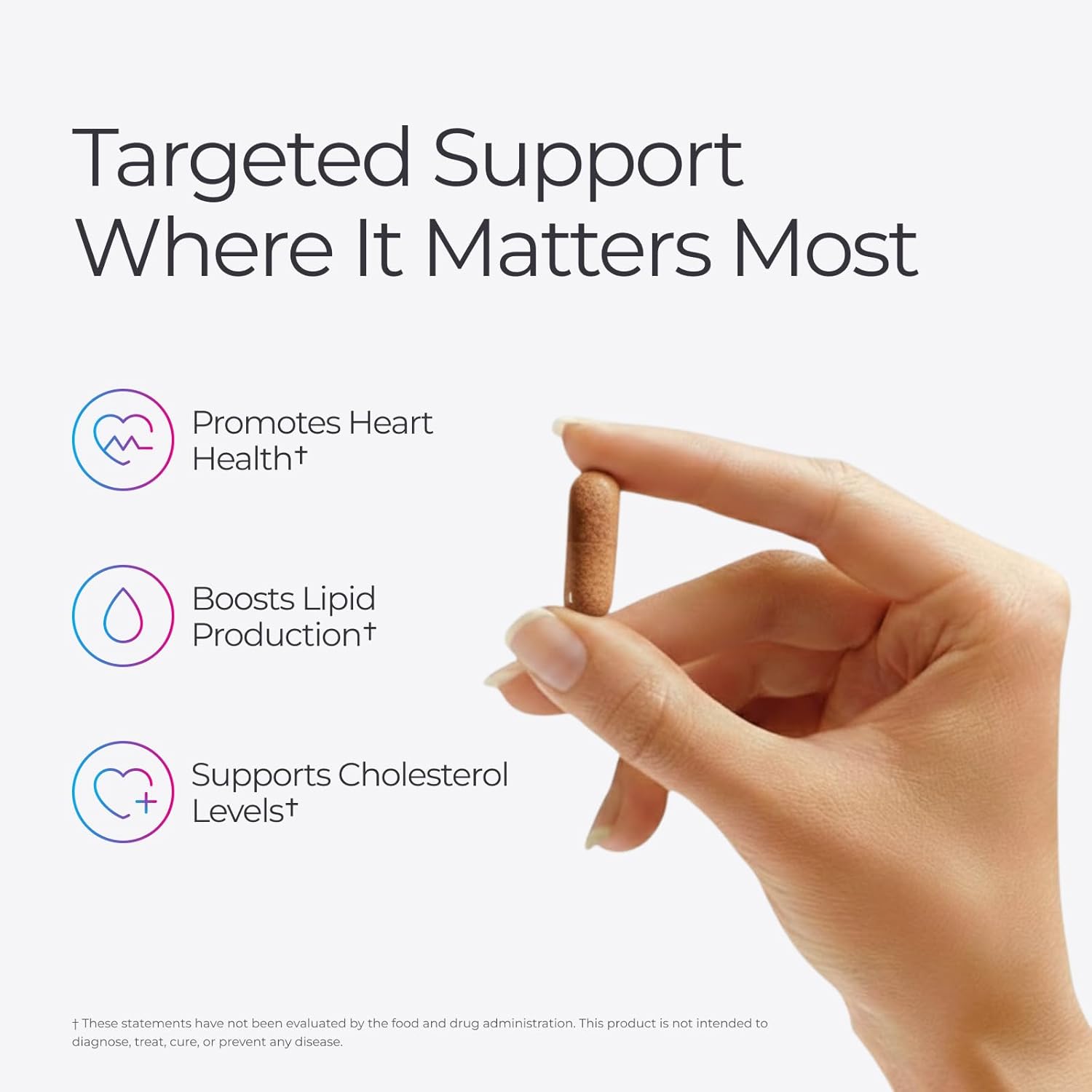 Livingood Daily Cholesterol Support Suplemento para el Colesterol