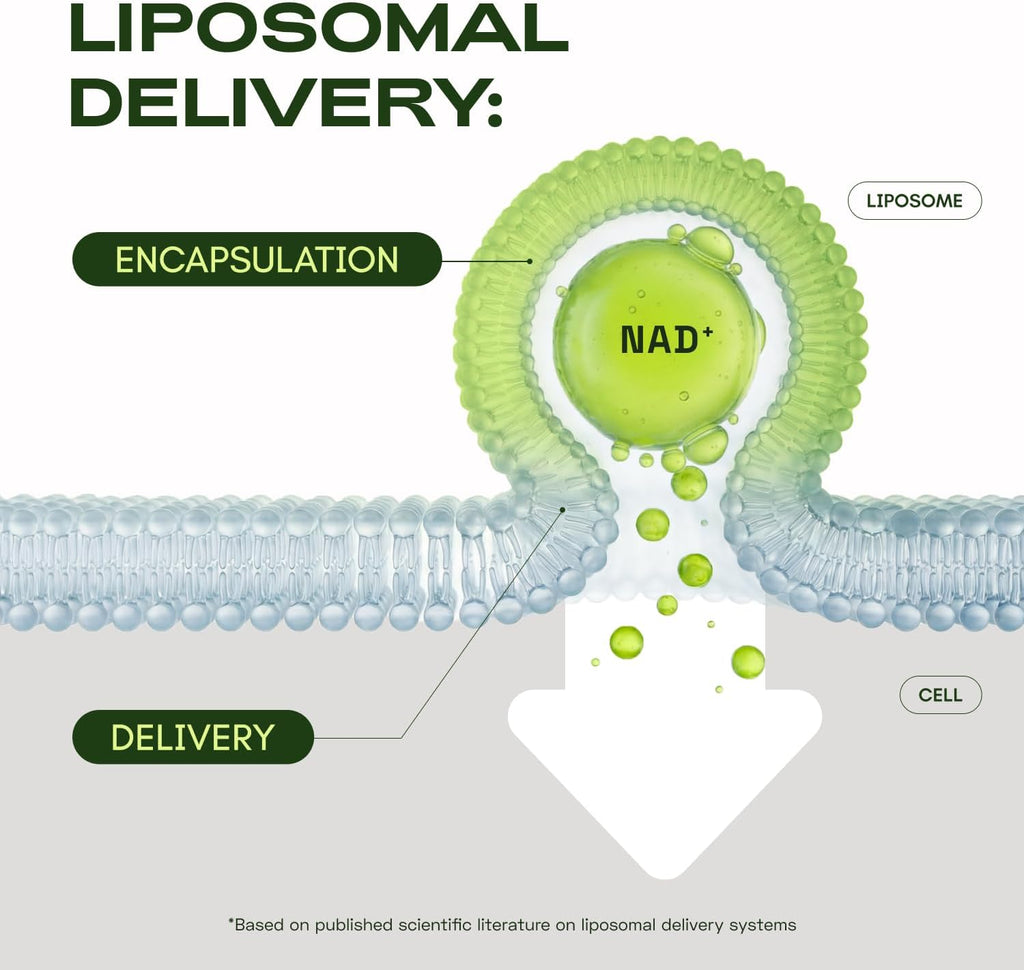Cata-Kor NAD CORE – Suplemento Liposomal de NAD+ (120 Cápsulas, 60 Días)