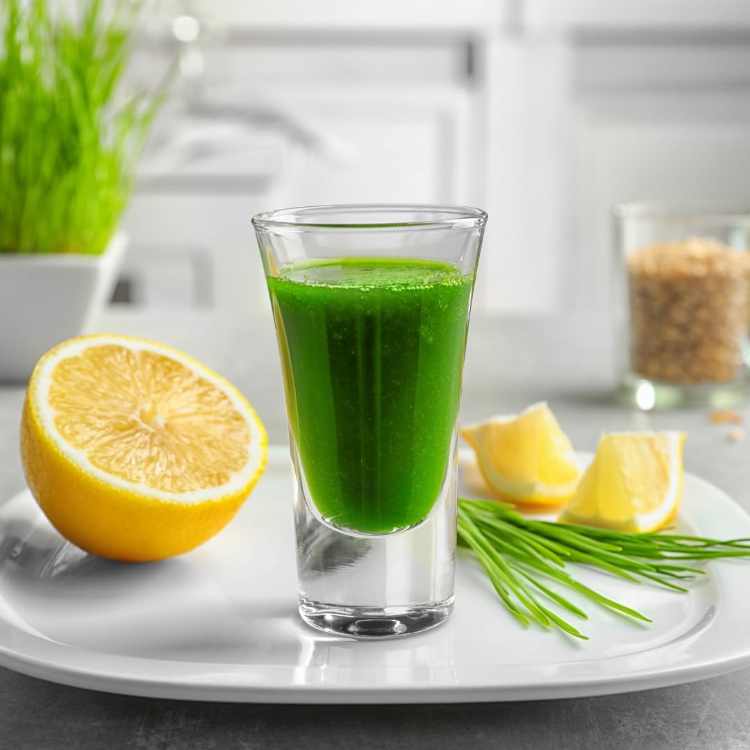 Jovvily Polvo de Hierba de Trigo - 454 g - Superalimento - Sin Rellenos - Batidos y Smoothies