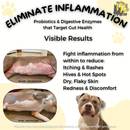 Dog & Cat Probiotics, Prebiotics, & Digestive Enzymes – Flavorless Powder for Gut Health, Allergies, Itchy Skin, Gas & – Image 5