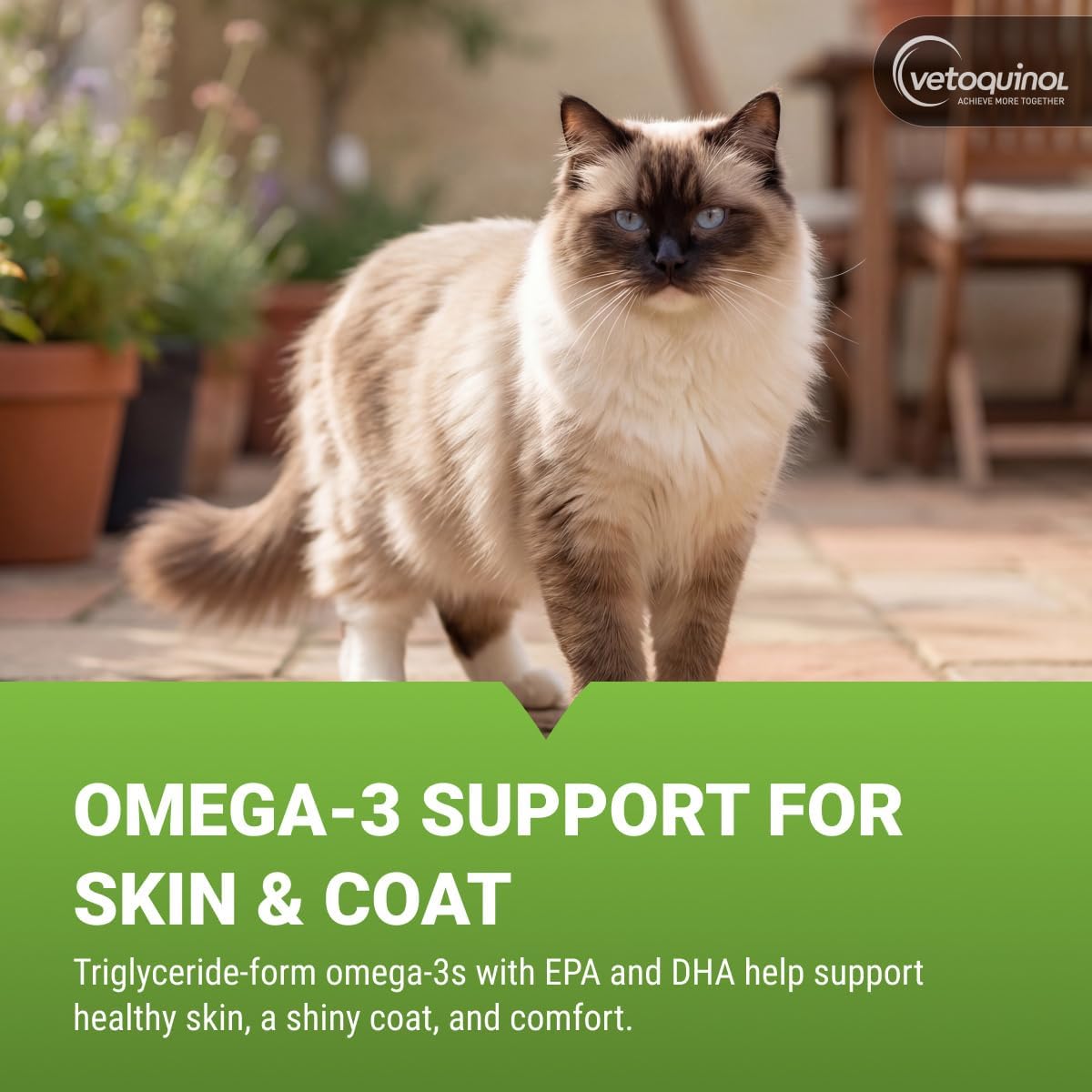 Vetoquinol Triglyceride Omega - Aceite de Pescado para Perros y Gatos - 250 Cápsulas