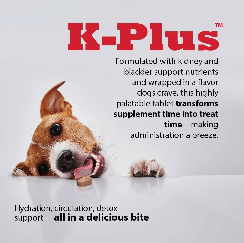 K-Plus Citrato Potásico y Arándano para Perros - 100 Comprimidos Masticables
