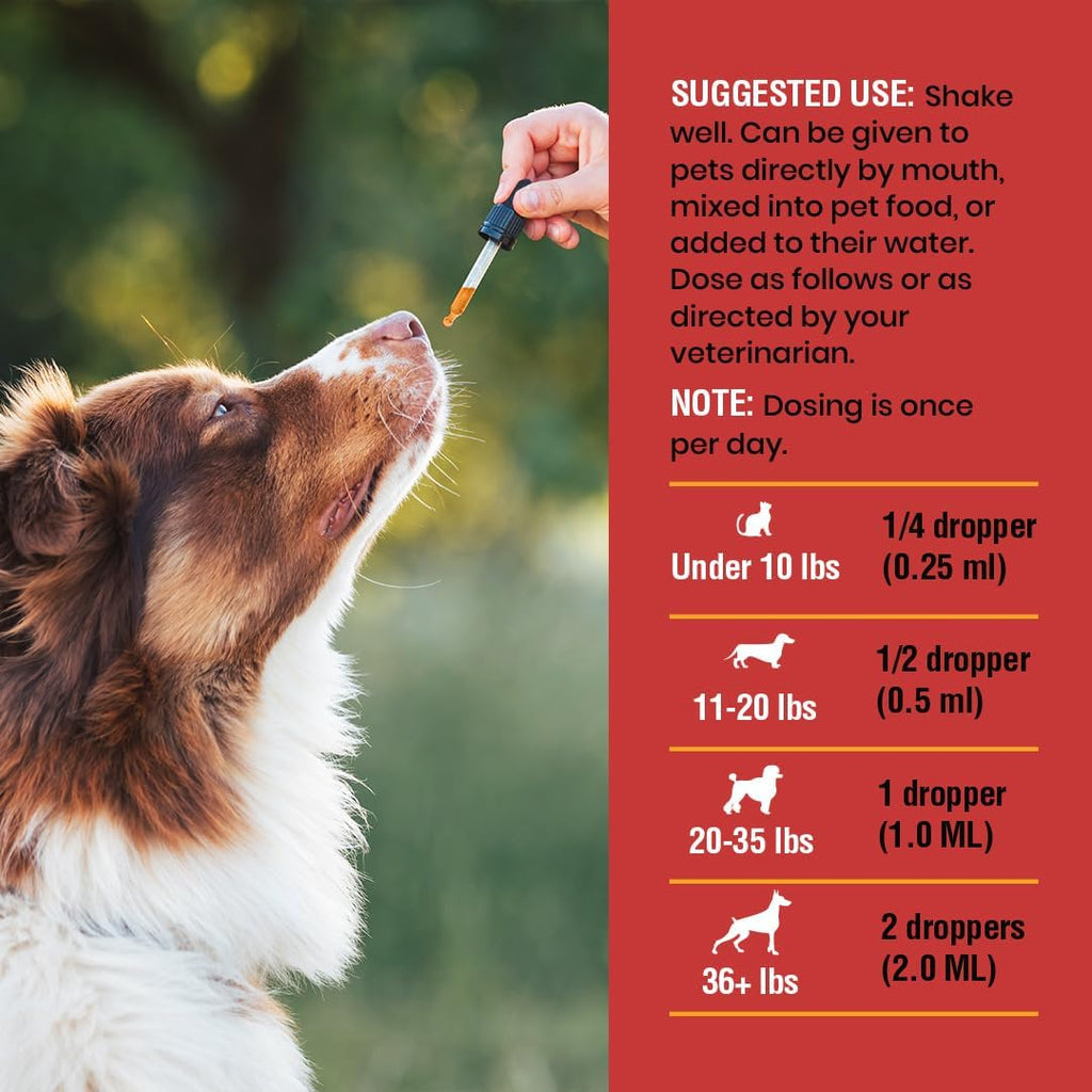 Tratamiento Natural de Infección Urinaria para Perros y Gatos – Gotas de Arándano para Apoyo Renal y Vesical
