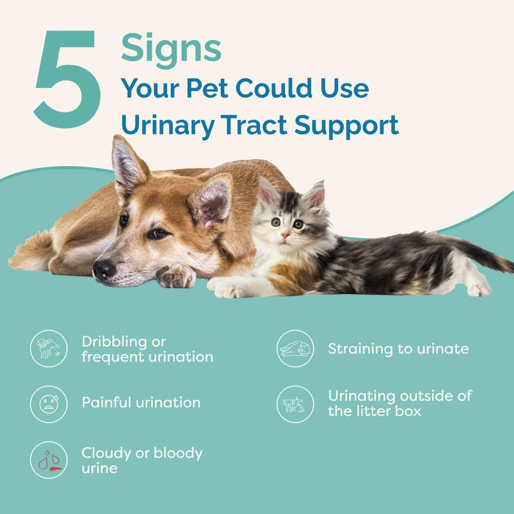 PranaPets Suplemento Líquido para el Tracto Urinario en Perros y Gatos | Apoyo Natural para la Vejiga