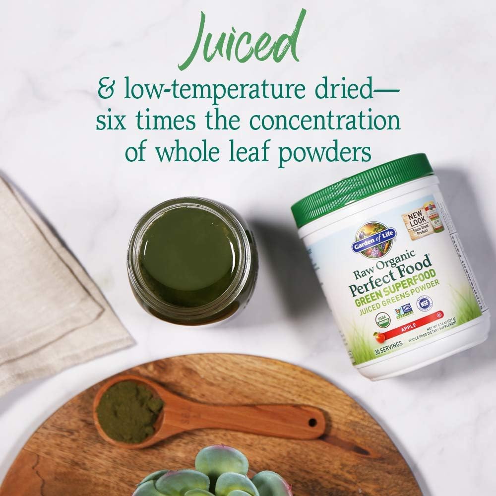 Garden of Life Raw Organic Perfect Food - Superalimento en Polvo Bio Lemon Ginger, 30 raciones